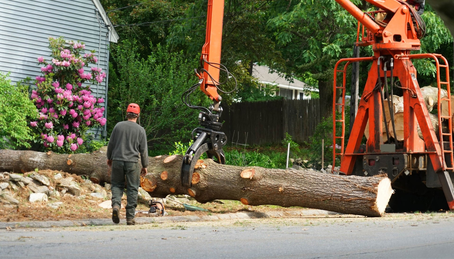 Local partner for Tree removal services in Princeton